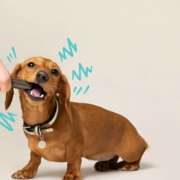 Edgard & Cooper Doggy Dental // Vegetarisk tyggesnack (æble og eukalyptus)