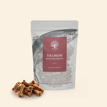 Essential Salmon Mini Delights // Bløde træningsgodbidder (laks)
