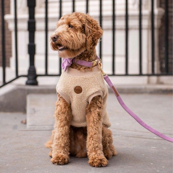Floofs And Cookies Teddy // Blød hundesweater (beige) XXL-XXXL