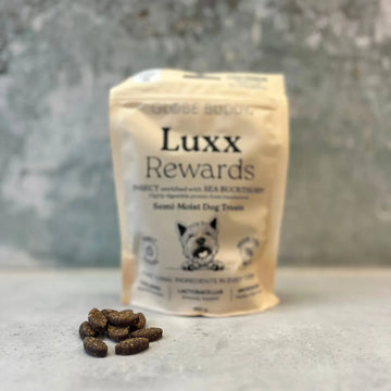 Globe Buddy Luxx // Soft treats with insects and sea buckthorn