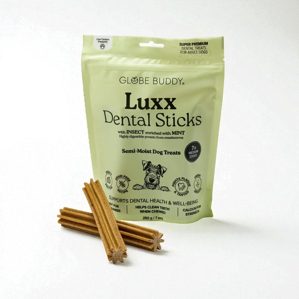 Globe Buddy Luxx // Dental Sticks med insektprotein og mynte