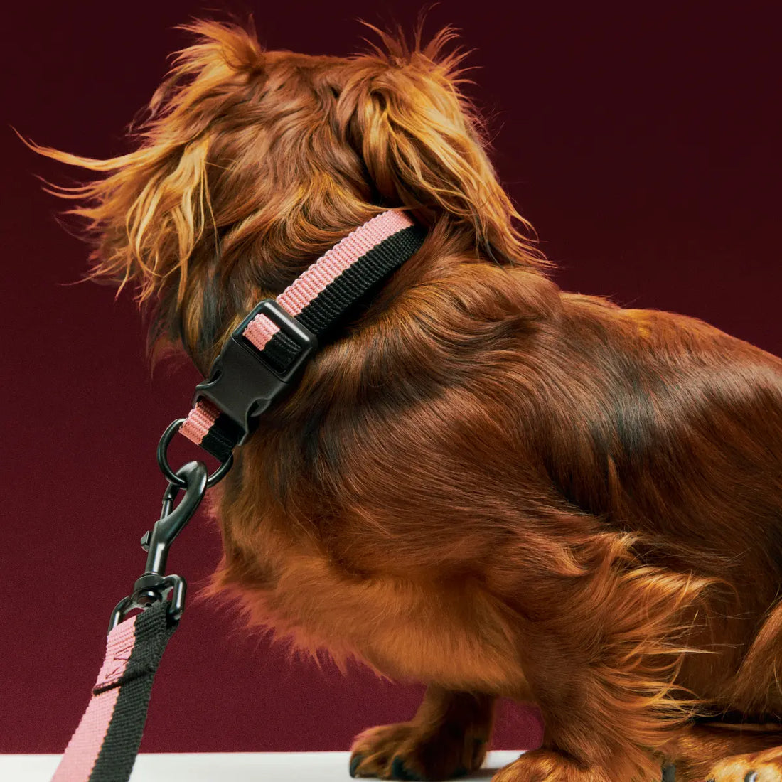 HAY Dogs Flat // Klassisk hundeline i genanvendt nylon (pink/sort)