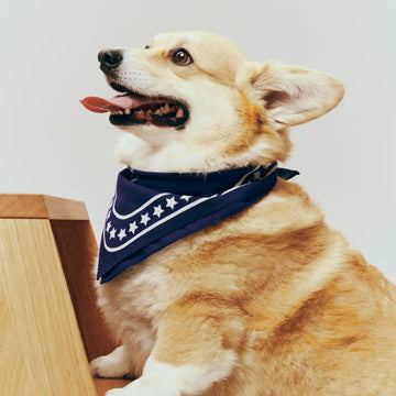 HAY Dogs Scarf // Hundebandana i bomuld (navy)