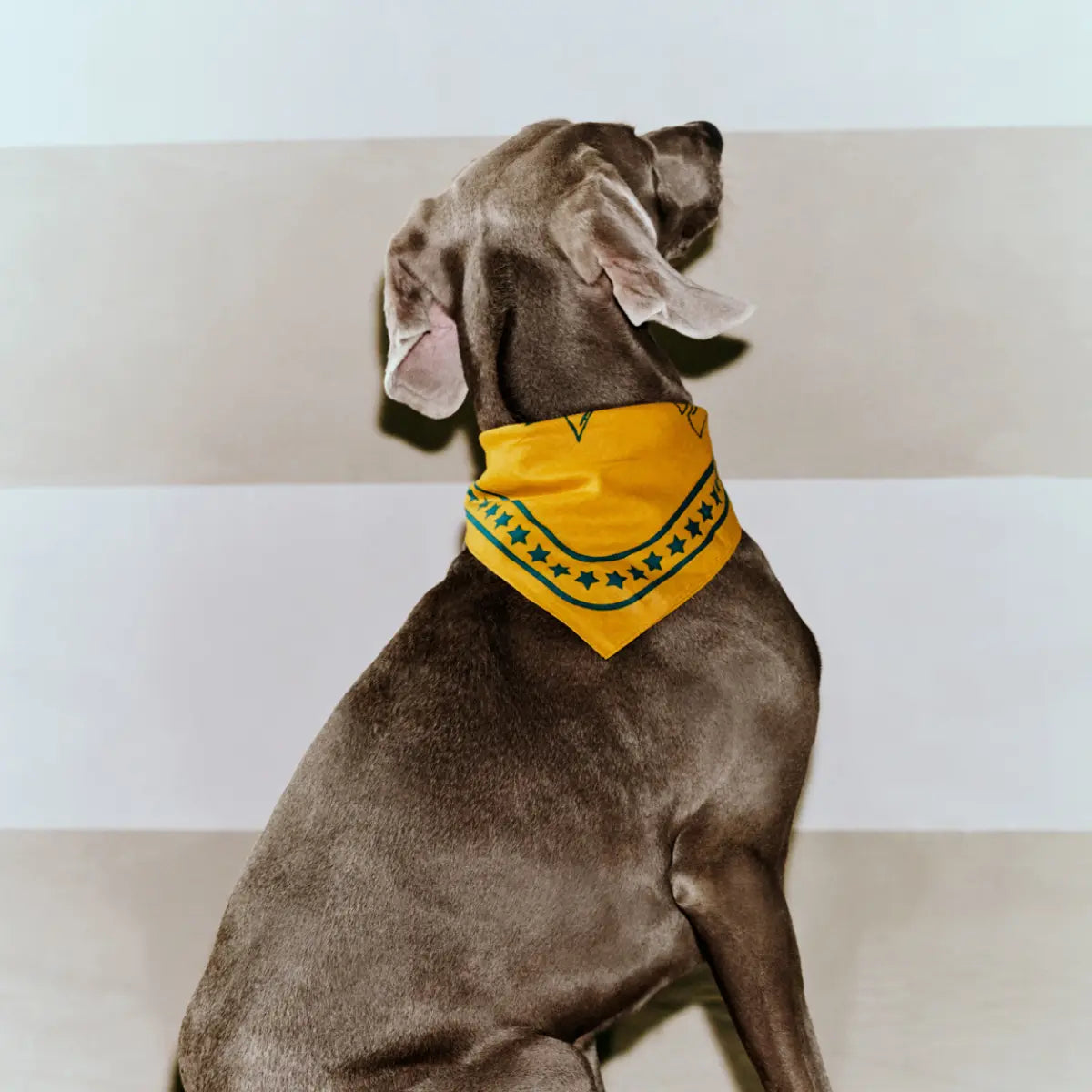 HAY Dogs Scarf // Hundebandana i bomuld (gul/grøn)