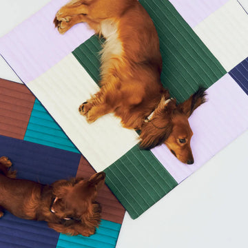 HAY Dogs Travel Blanket // Blødt rejsetæppe til hunde (lavendel)