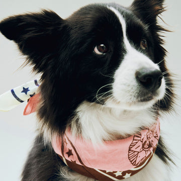 HAY Dogs Scarf // Hundebandana i bomuld (lyserød)