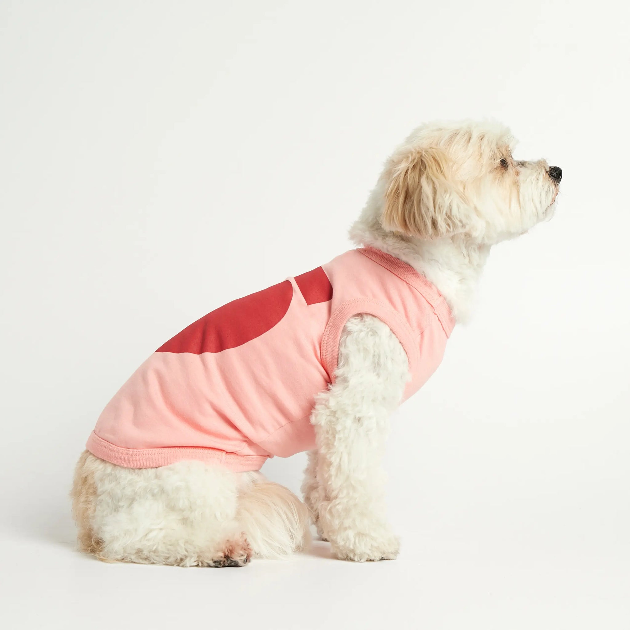 Imi Bodysuit // Hundetrøje i økologisk bomuld (pink)