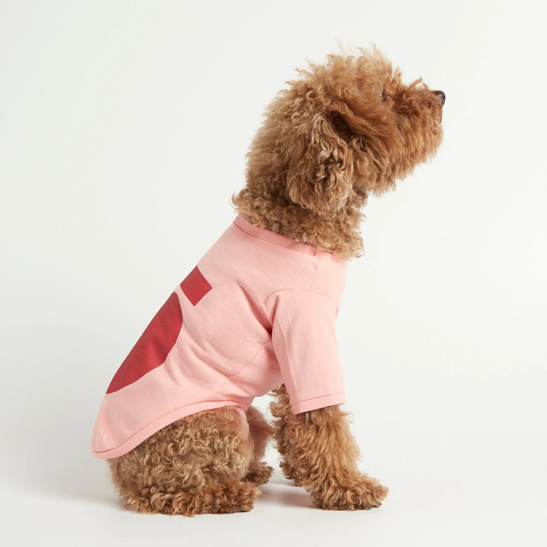 Imi T-shirt // Hundetrøje med ærmer i økologisk bomuld (pink)