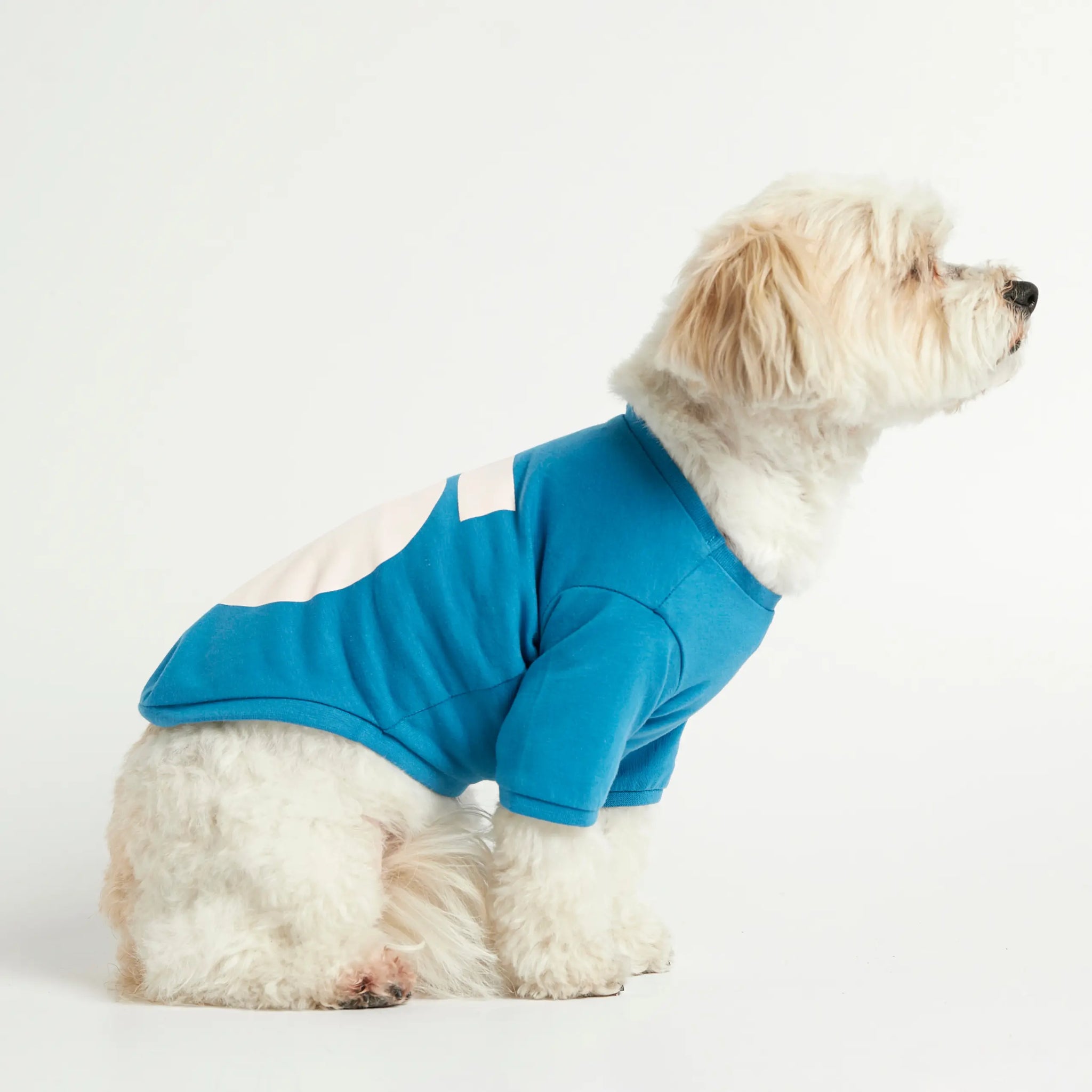 Imi T-shirt // Dog shirt with sleeves in organic cotton (blue)