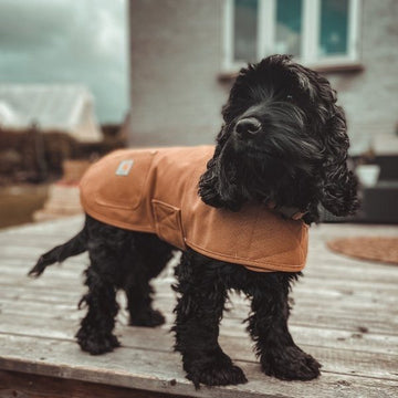 Carhartt Hundejakke // Vandafvisende overgangsjakke (brun)