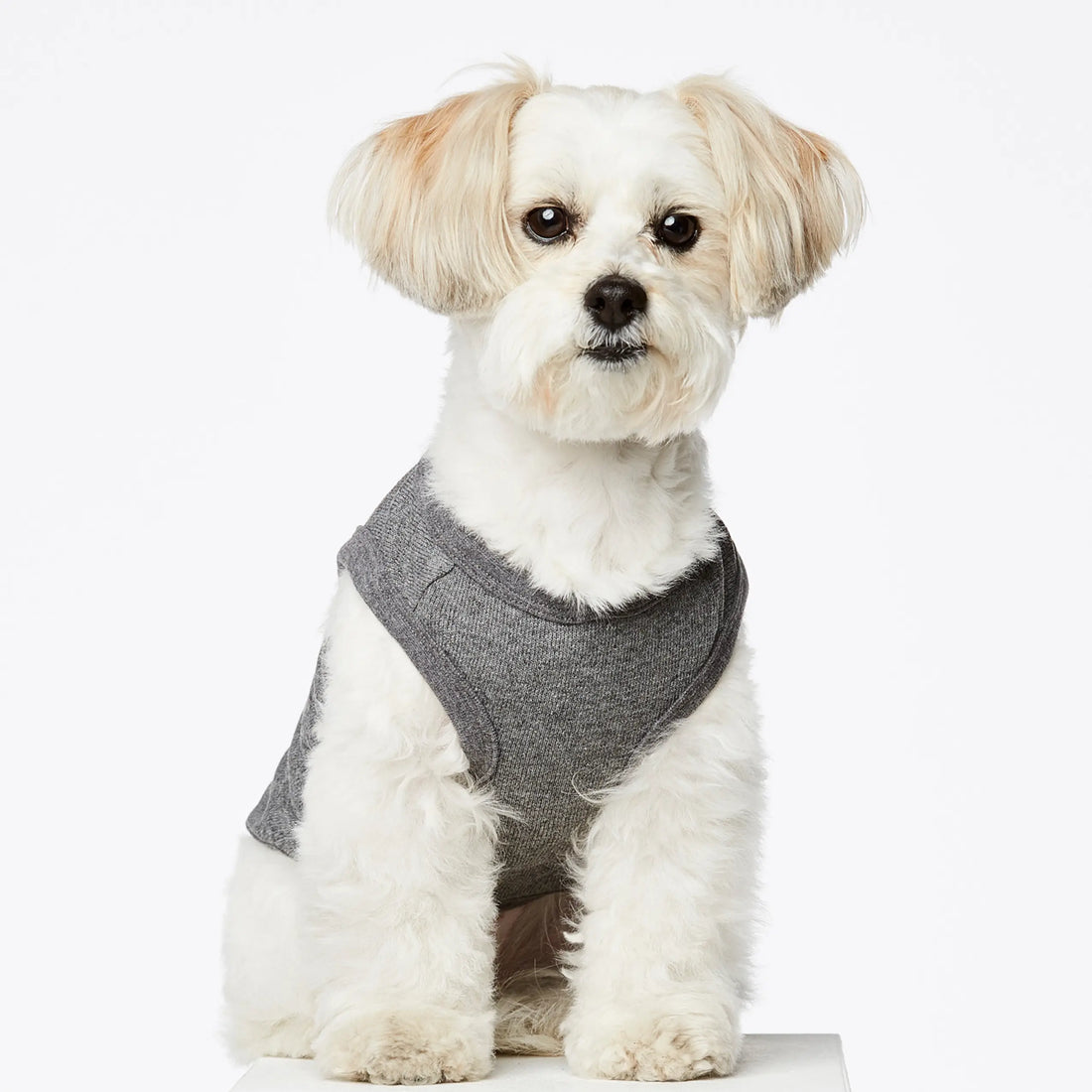 Josef Bodysuit // Hundetrøje i økologisk bomuld (grå) XS, S