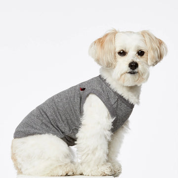 Josef Bodysuit // Hundetrøje i økologisk bomuld (grå) XS, S