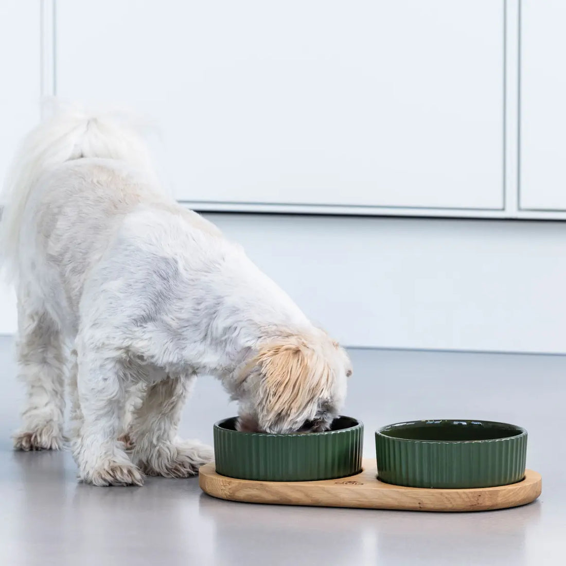 Dog Copenhagen Kronborg // Skålesæt med egetræsbase (grøn/eg)