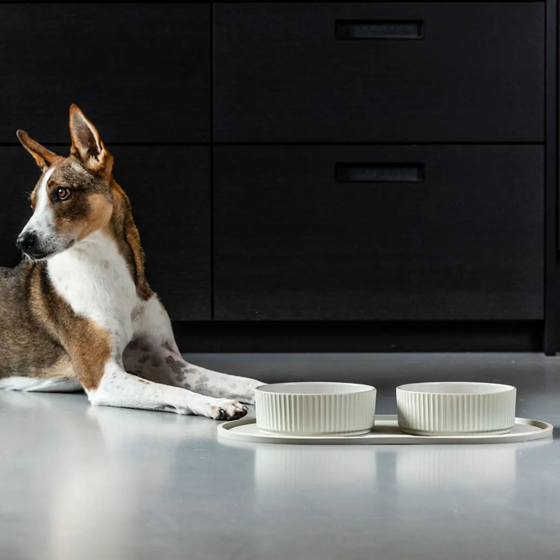 Dog Copenhagen Kronborg // Keramik hundeskål (hvid)