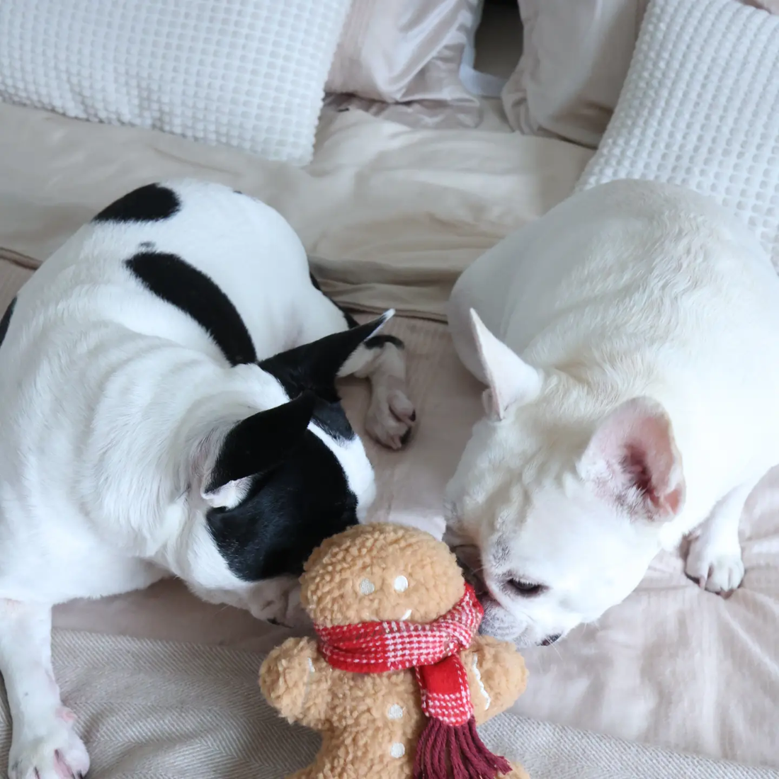 Lambwolf Mister Gingerbread // Christmas teddy bear with fun sounds