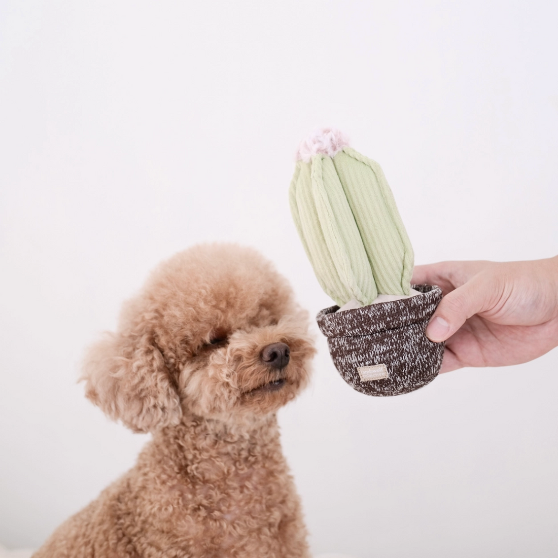 Lambwolf Cactus // Aktivitetslegetøj med lommer til godbidder