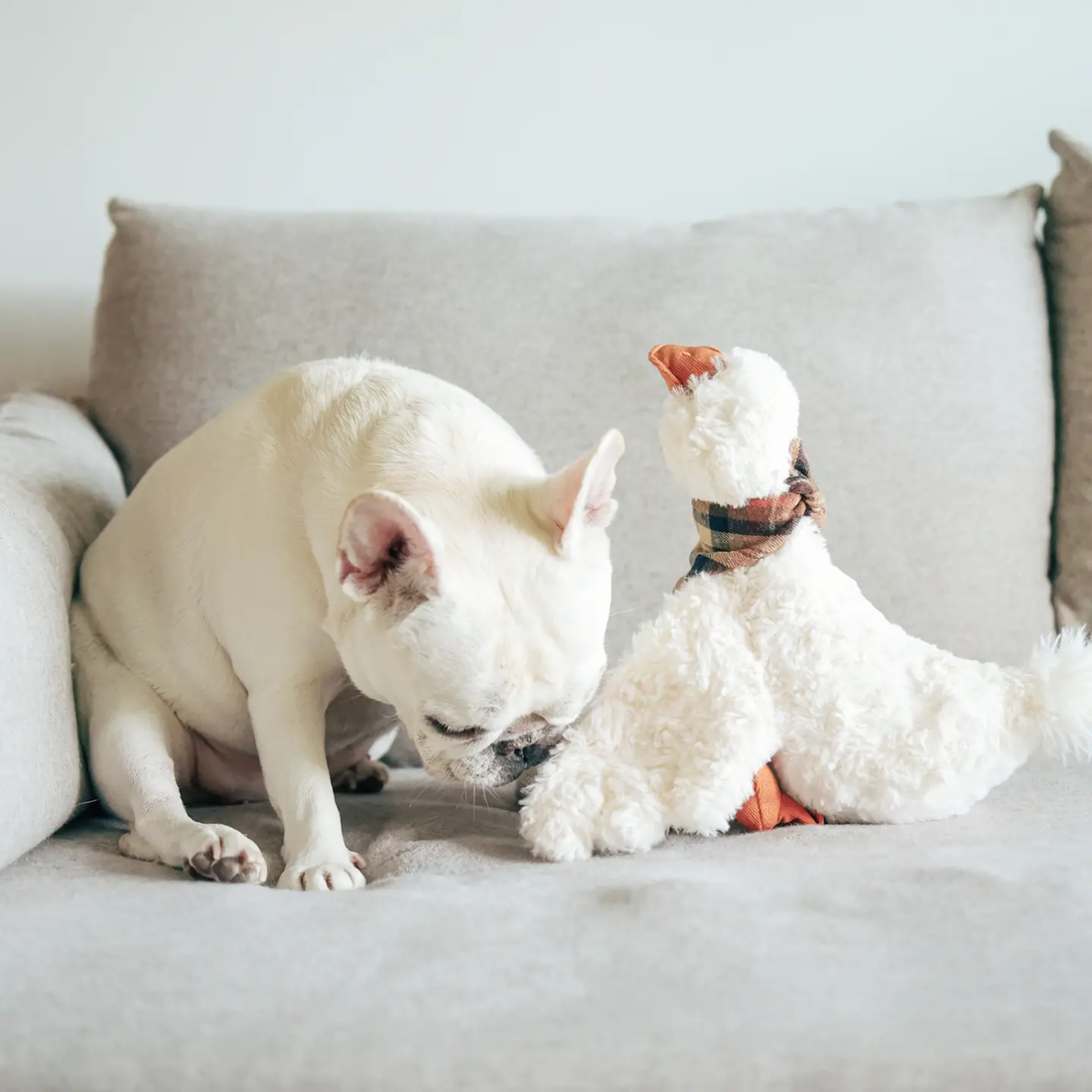 Lambwolf Gus // Soft dog toy with crinkle and squeaker