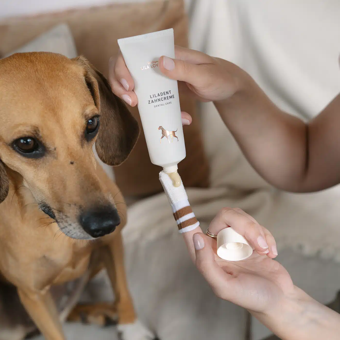 Lila Loves It // Tandpasta til hunde - forhindrer plak, tandsten og dårlig ånde