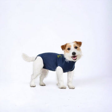 Medical Pet Shirt // Protective overall for dogs (blue)