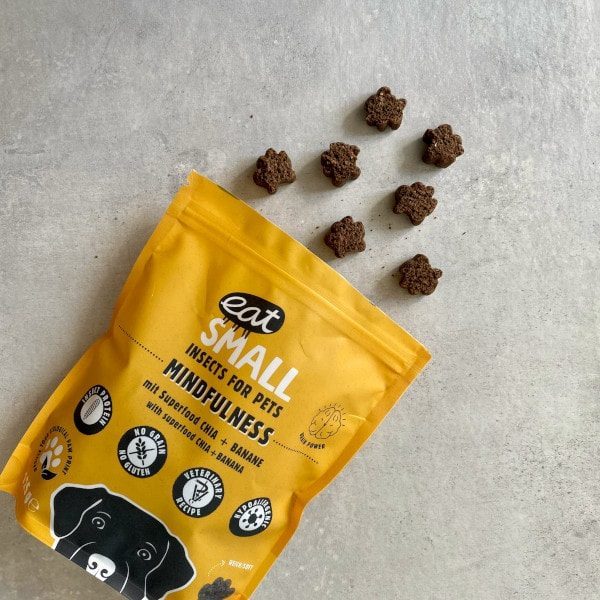Eat Small Mindfulness// Bæredygtige godbidder med insekter, chia og banan