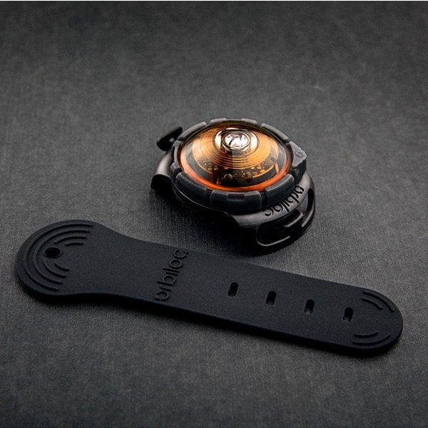 Orbiloc Dog Dual // Waterproof dog flashlight (amber)