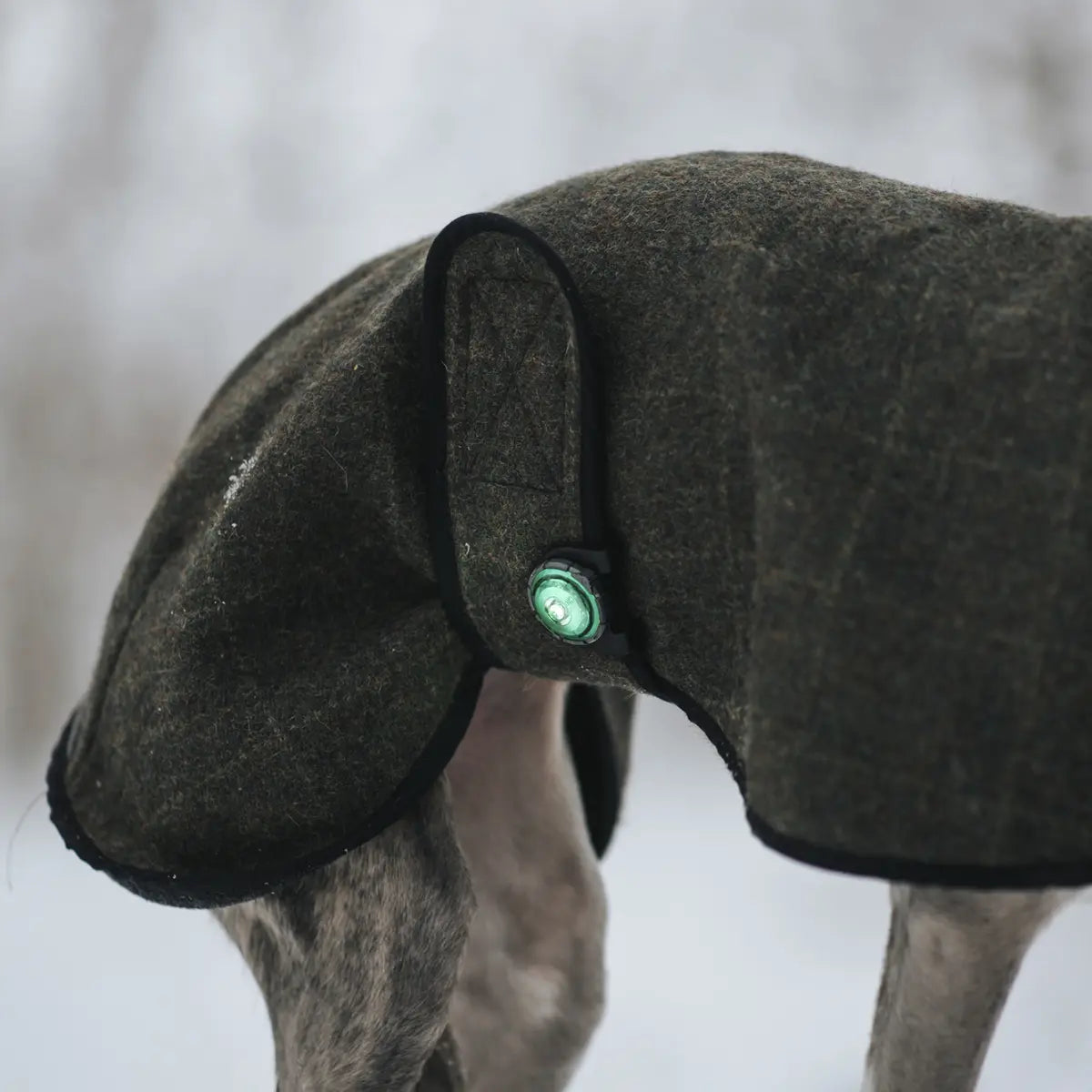 Orbiloc Accessories// Clip for dog flashlight