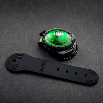 Orbiloc Dog Dual // Waterproof dog flashlight (green)