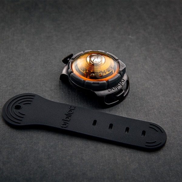 Orbiloc Dog Dual // Waterproof dog flashlight (yellow)