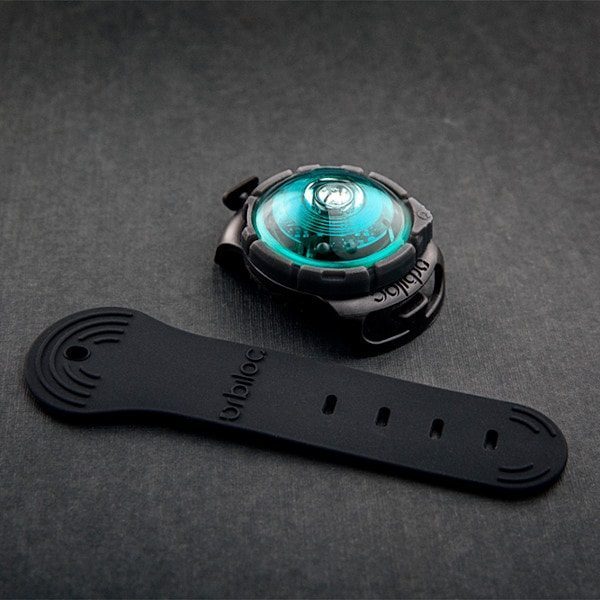 Orbiloc Dog Dual // Waterproof dog flashlight (turquoise)