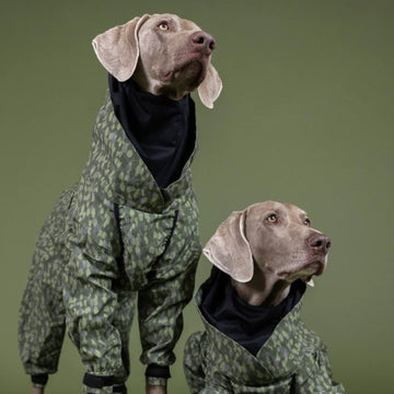 Paikka Rain Suit // Waterproof rain suit with good fit (green)