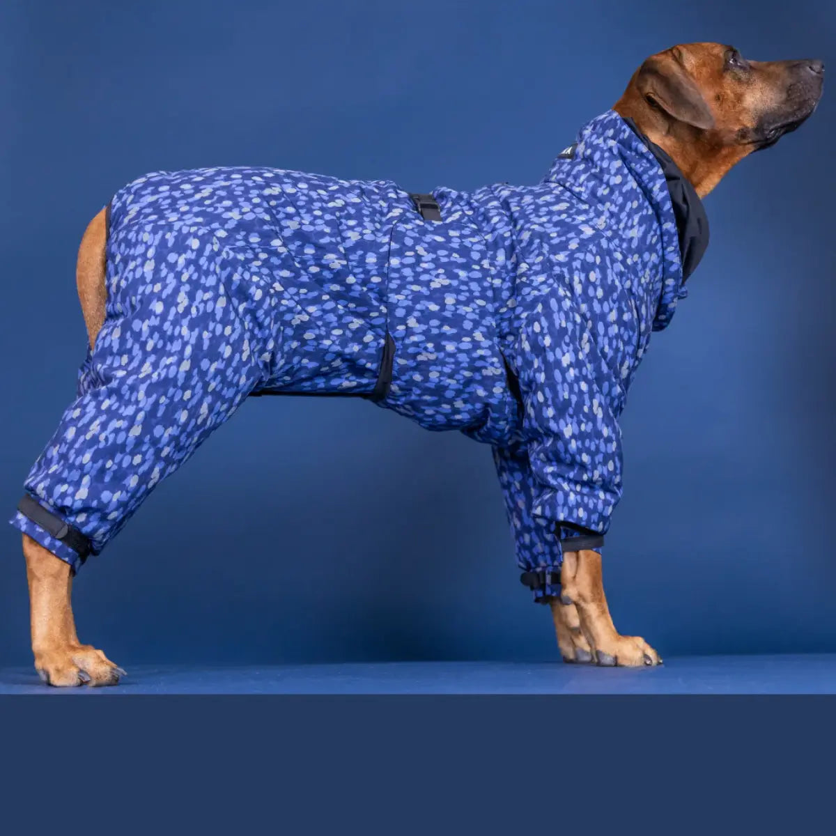 Paikka Winter Suit // Varm og vandtæt vinterdragt med god pasform (blå)