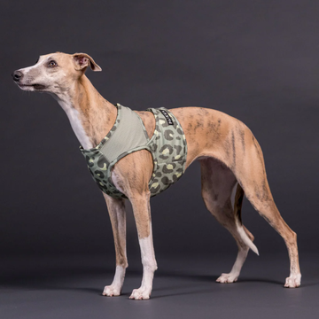 Paikka Cooling Vest // Cooling vest for hot days (green leo)