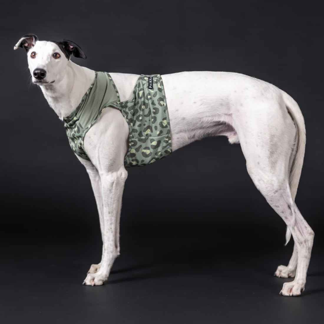 Paikka Cooling Vest // Cooling vest for hot days (green leo)