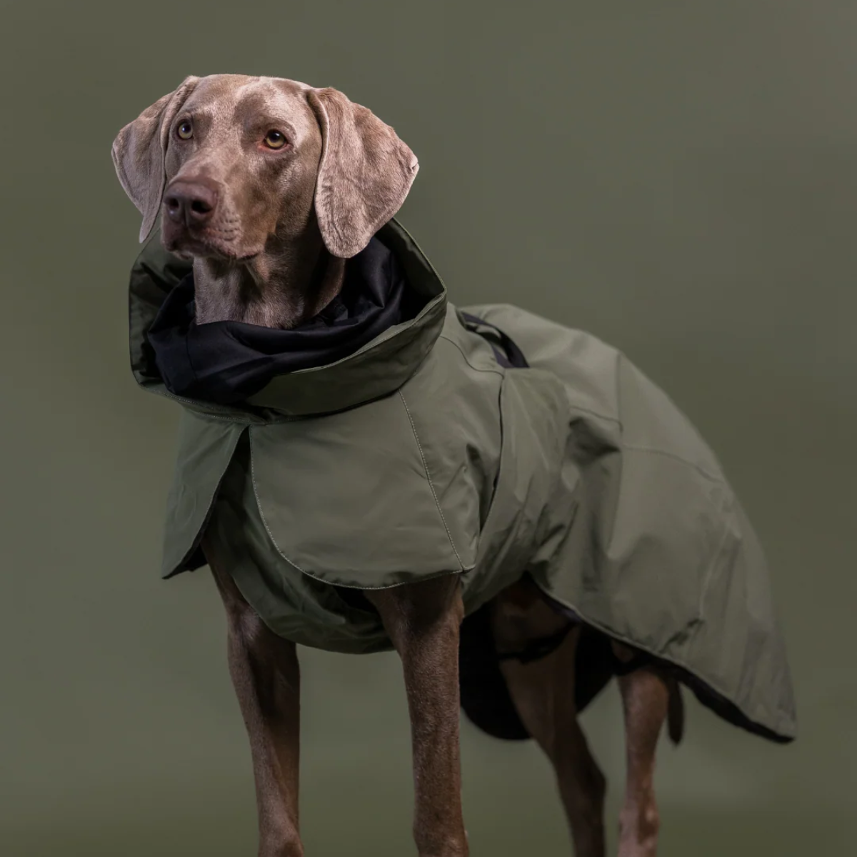 Paikka Winter // Funktionel vinterjakke med god pasform (grøn)