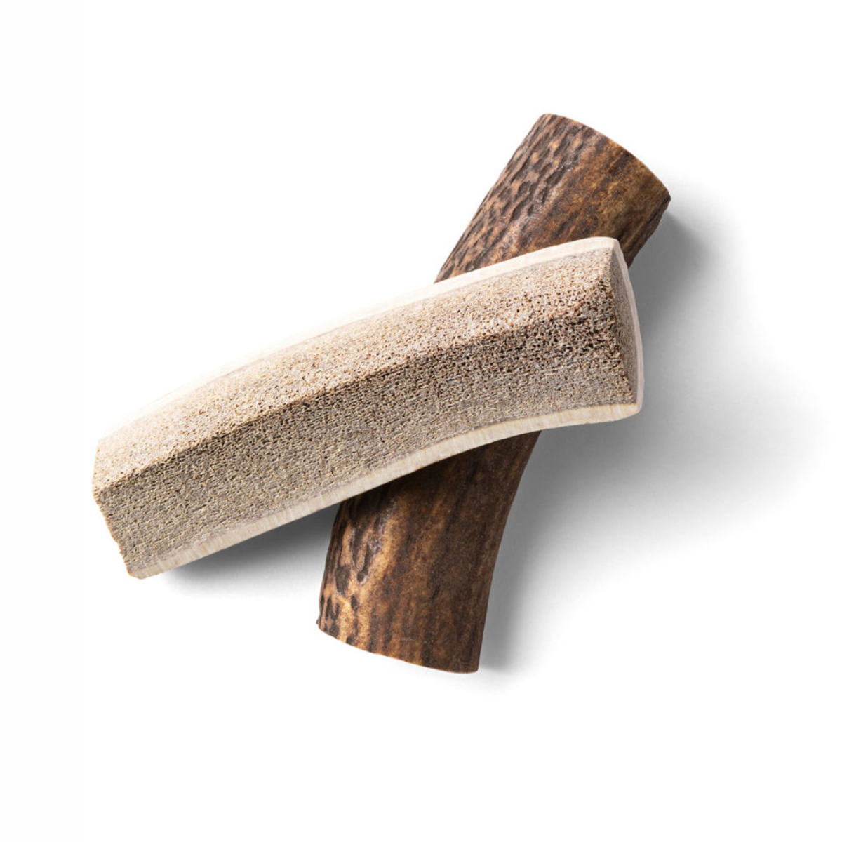 Rauh! Antler // Cut deer antlers, perfect for puppies