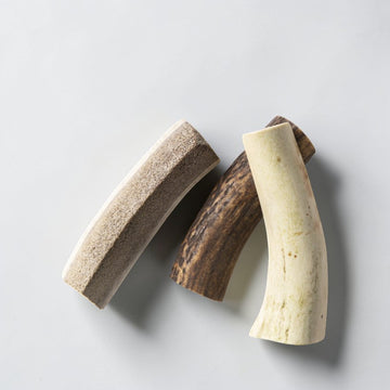 Rauh! Split Antler // Split deer antler, perfect for puppies