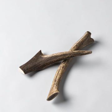 Rauh! Antler // Holdbart tyggeben af hjortegevir