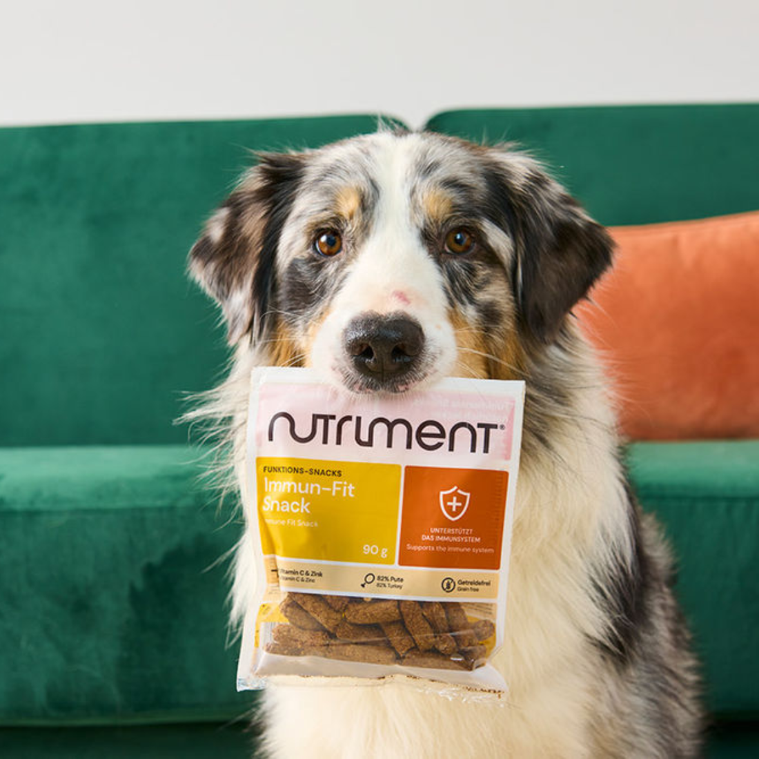 Nutriment® Immune Defence Snack // Funktionelle godbidder til støtte af immunforsvaret