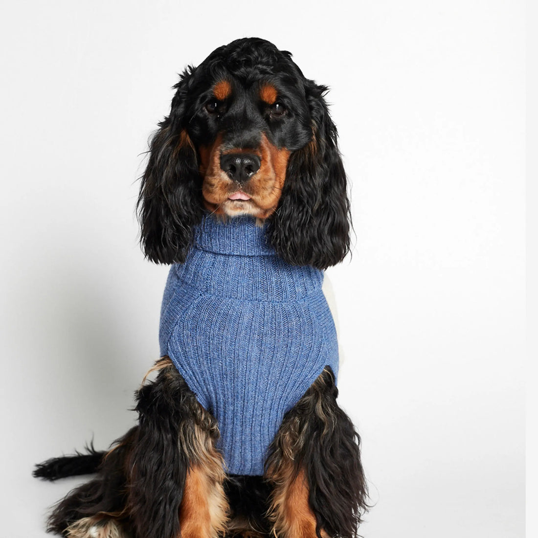 Rene Sweater // Hundesweater med adgang til sele (blå) small