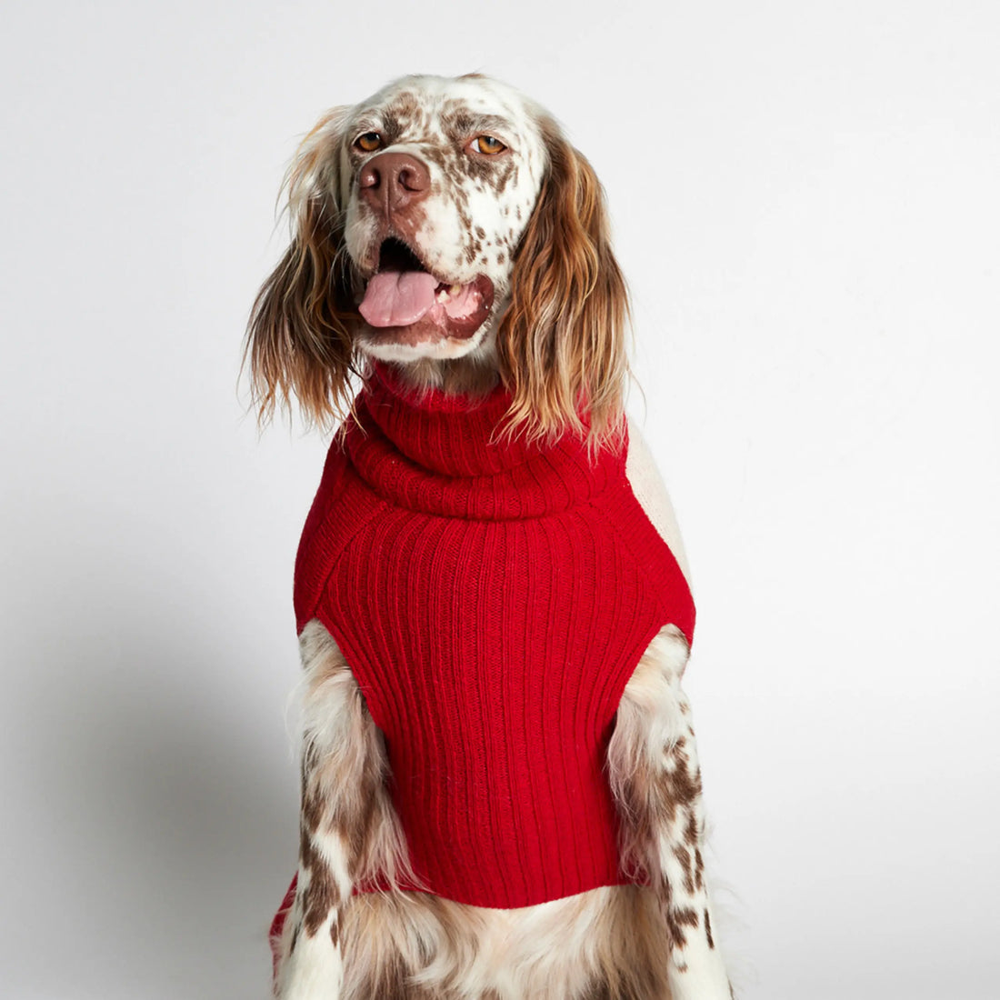 Rene Sweater // Hundesweater med adgang til sele (rød) small