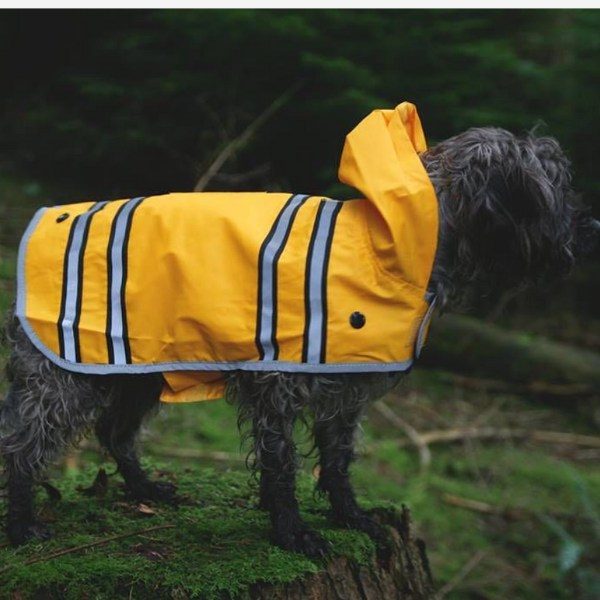 Sötnos Sunshine Raincoat // Regnjakke som ikke skal over hovedet