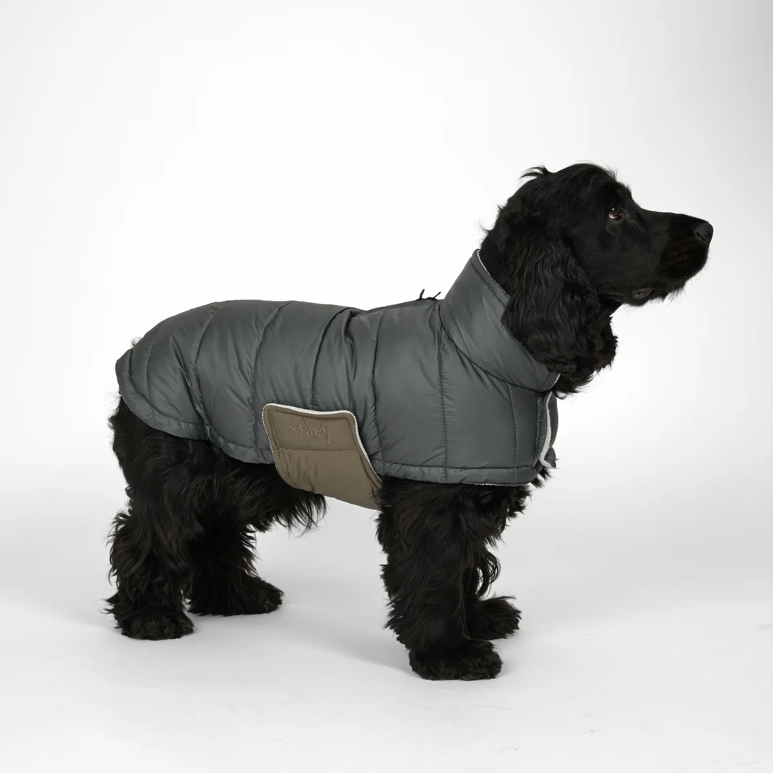 Staey Nora // Let vinterjakke til hunde (storm)