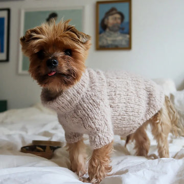 WEAR FIFI Knitting Kit // Knit-itself Fluffy Dog Sweater (teal green)