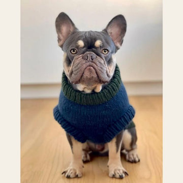 WEAR FIFI // Knitting pattern for dog sweater for French bulldog