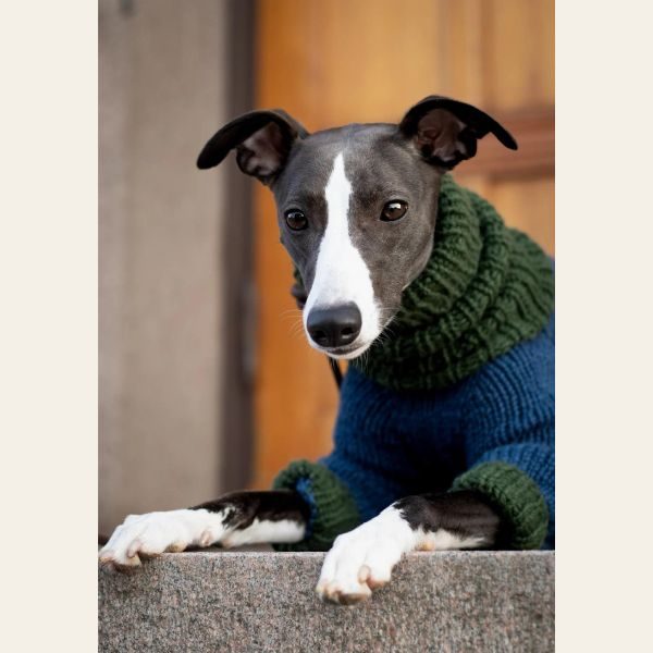 WEAR FIFI // Strikkeopskrift på hundesweater til mynder