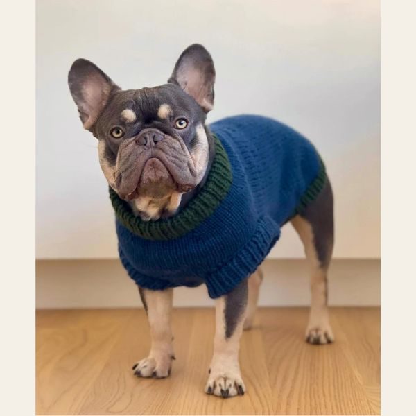 WEAR FIFI // Strikkeopskrift på hundesweater til fransk bulldog