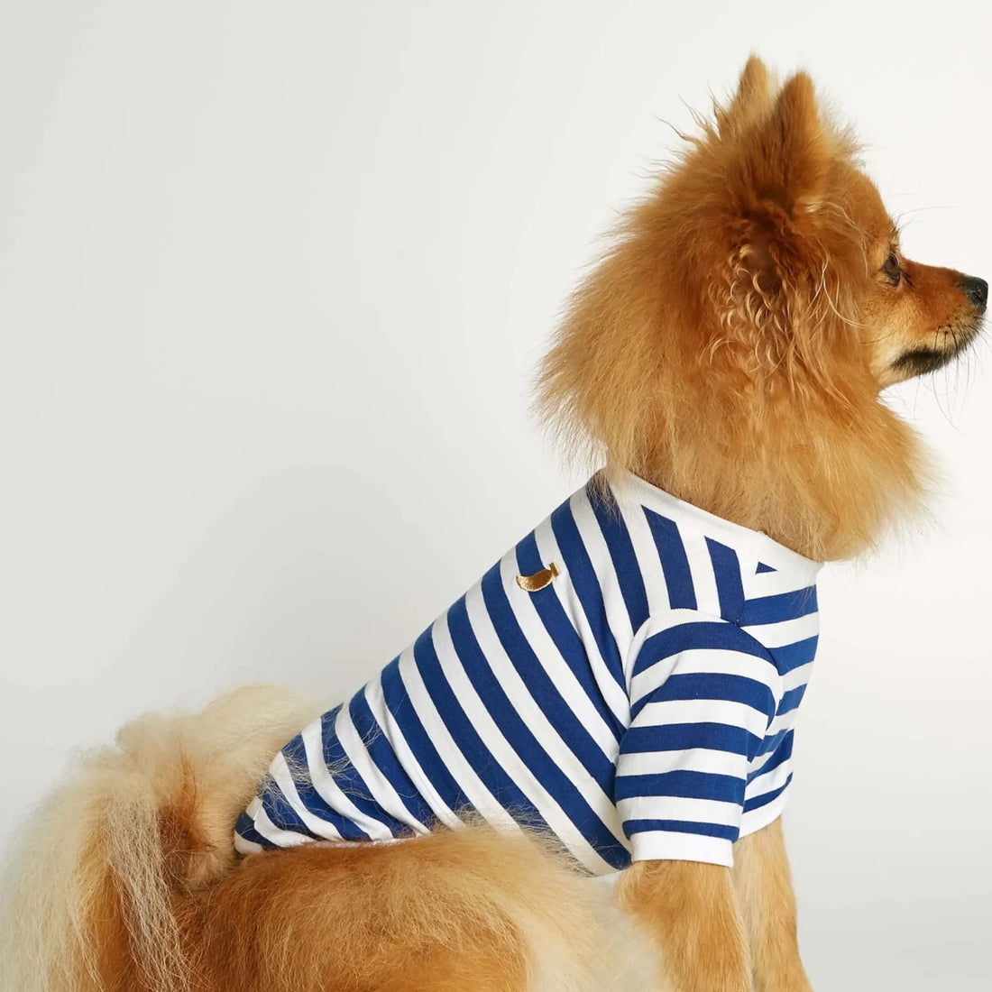 David T-shirt // Hundetrøje med ærmer i økologisk bomuld (blå)