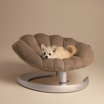 Tavo Shell™ // Gyngende lounge hundeseng (caramel)
