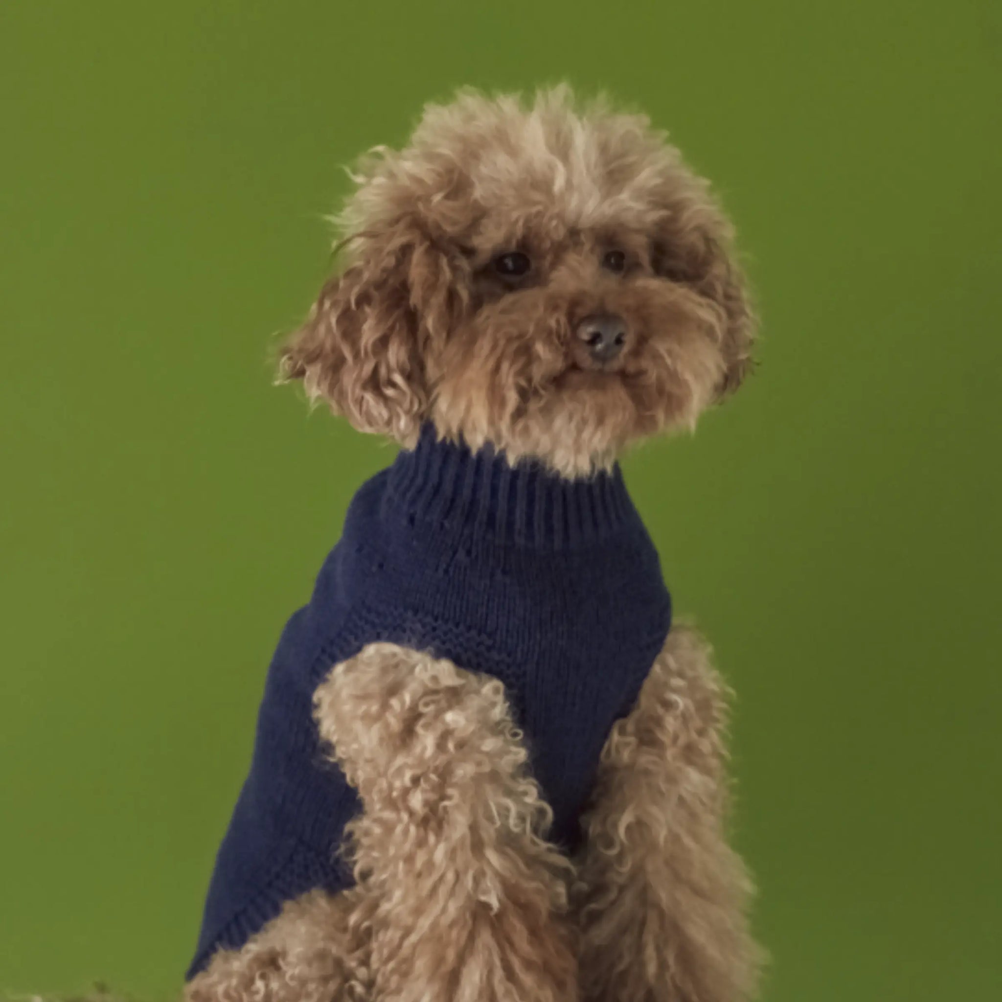 George Sweater // Hundesweater i merinould og cashmere (navy) Small