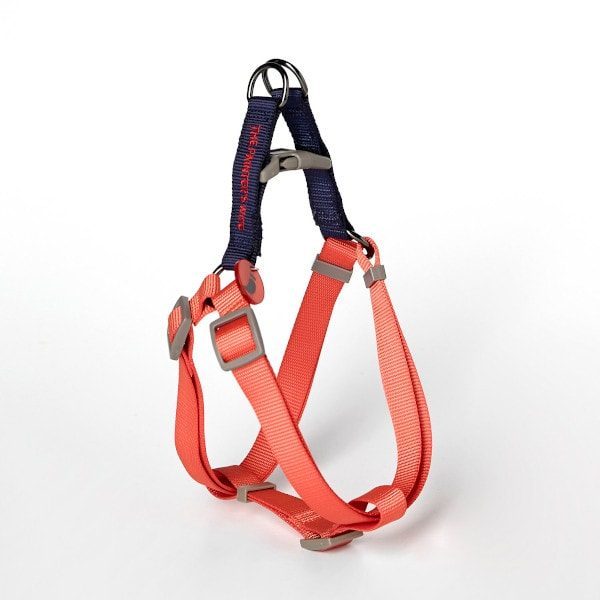 Sonia Vermilion // Adjustable and easy step-in harness